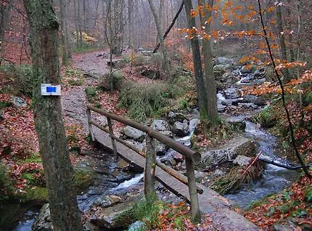 Au Coeur Du Menobu Theux