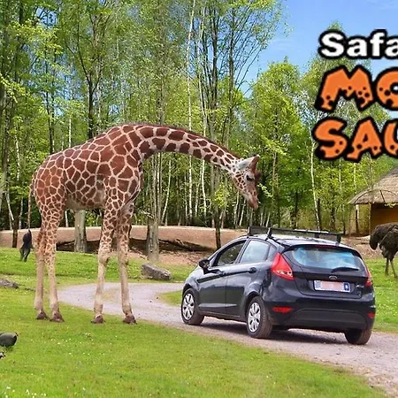 Au Coeur Du Menobu * Theux